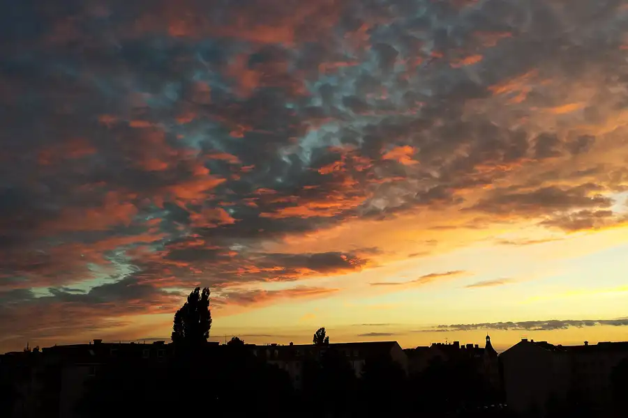 015 | 1900 | 2014-09-02 – 19:57 | © carsten riede fotografie