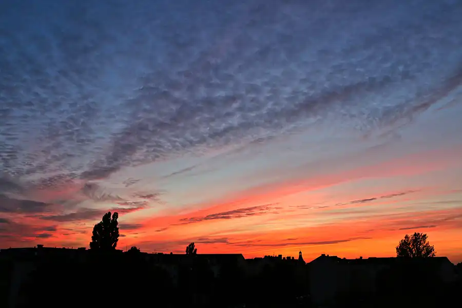 042 | 1900 | 2016-09-30 – 19:01 | © carsten riede fotografie