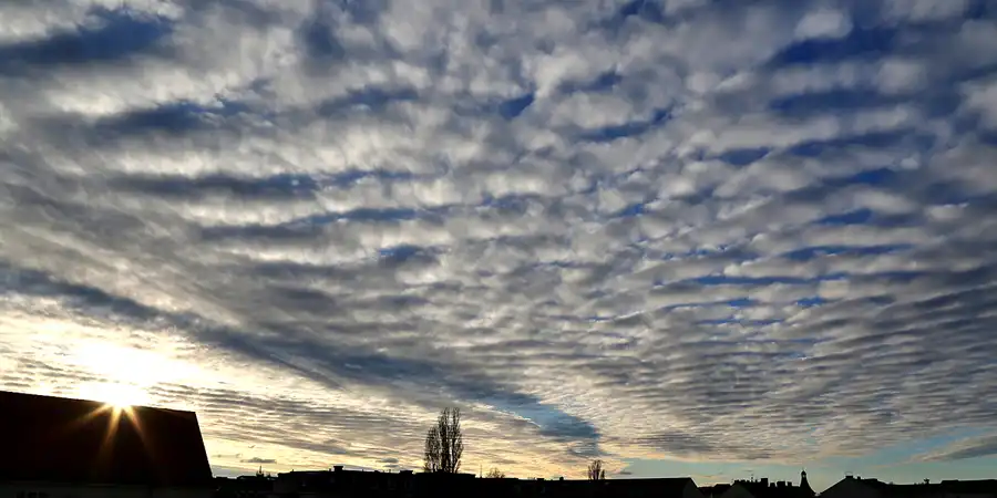 064 | 1900 | 2018-01-07 – 15:03 | © carsten riede fotografie