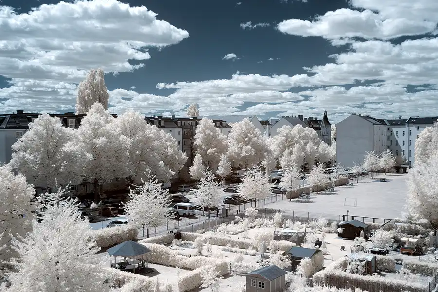 075 | 1900 | 2018-07-01 – 14:29 | © carsten riede fotografie