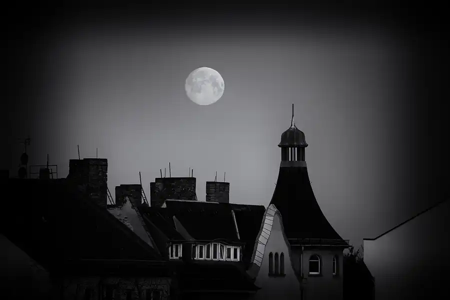 138 | 1900 | 2020-04-07 – 06:17 | © carsten riede fotografie