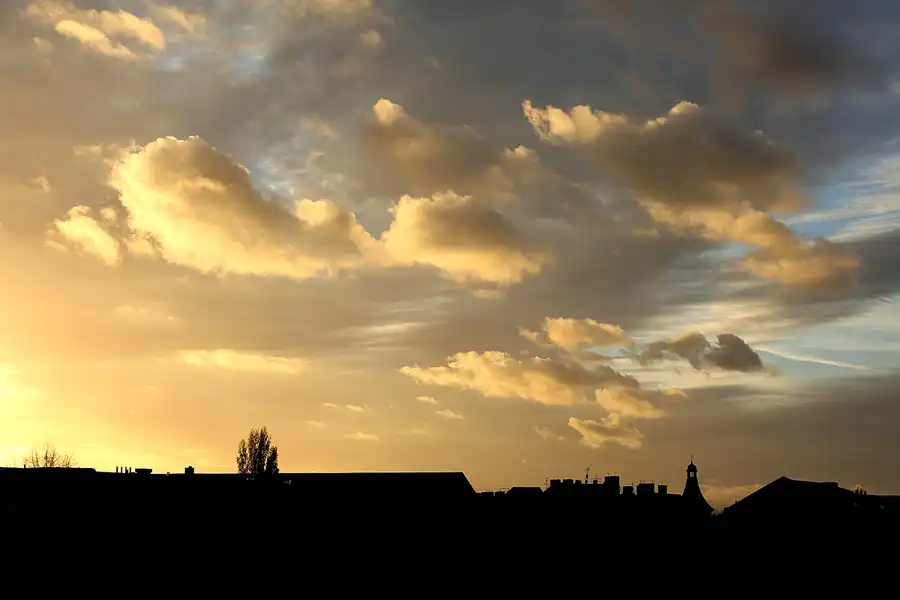 171 | 1900 | 2020-11-05 – 16:06 | © carsten riede fotografie