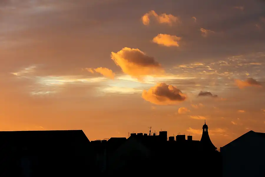 172 | 1900 | 2020-11-05 – 16:20 | © carsten riede fotografie
