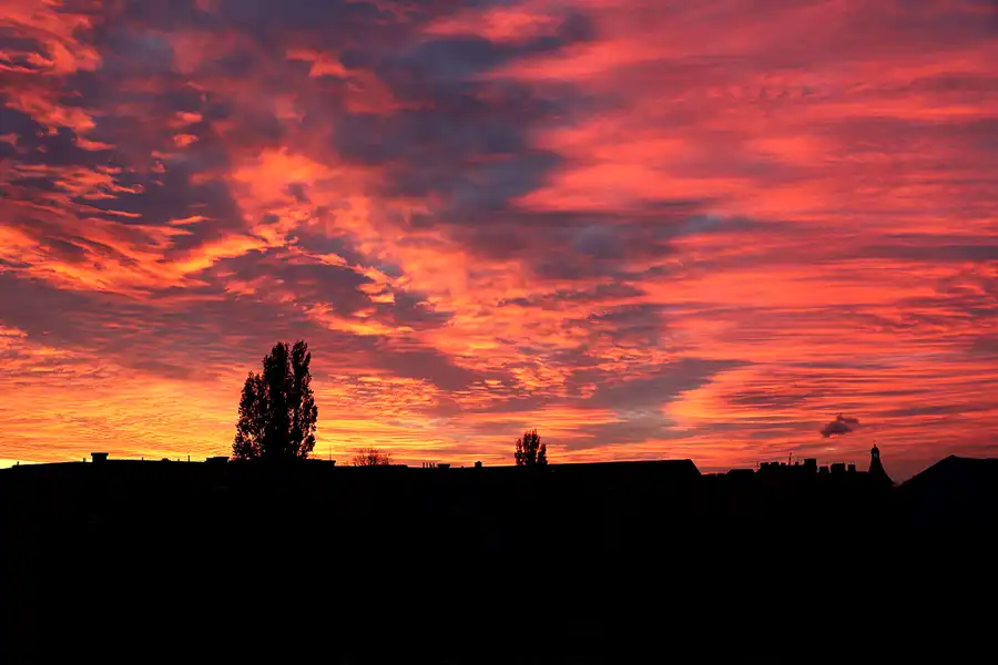 173 | 1900 | 2020-11-05 – 16:37 | © carsten riede fotografie