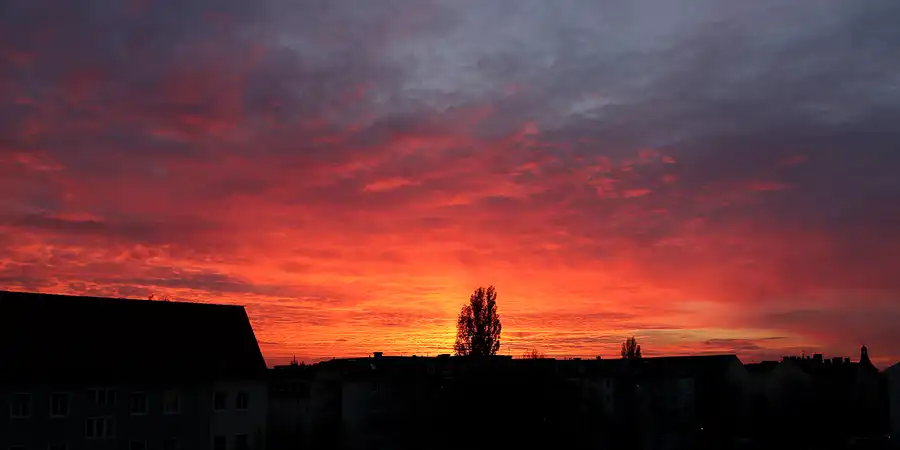 176 | 1900 | 2020-11-14 – 16:24 | © carsten riede fotografie