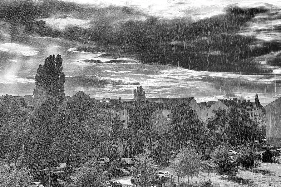 266 | 1900 | 2022-09-10 – 16:52 | © carsten riede fotografie