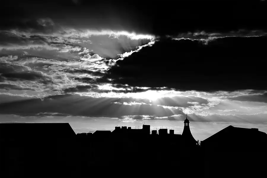 312 | 1900 | 2026-03-27 – 17:53 | © carsten riede fotografie