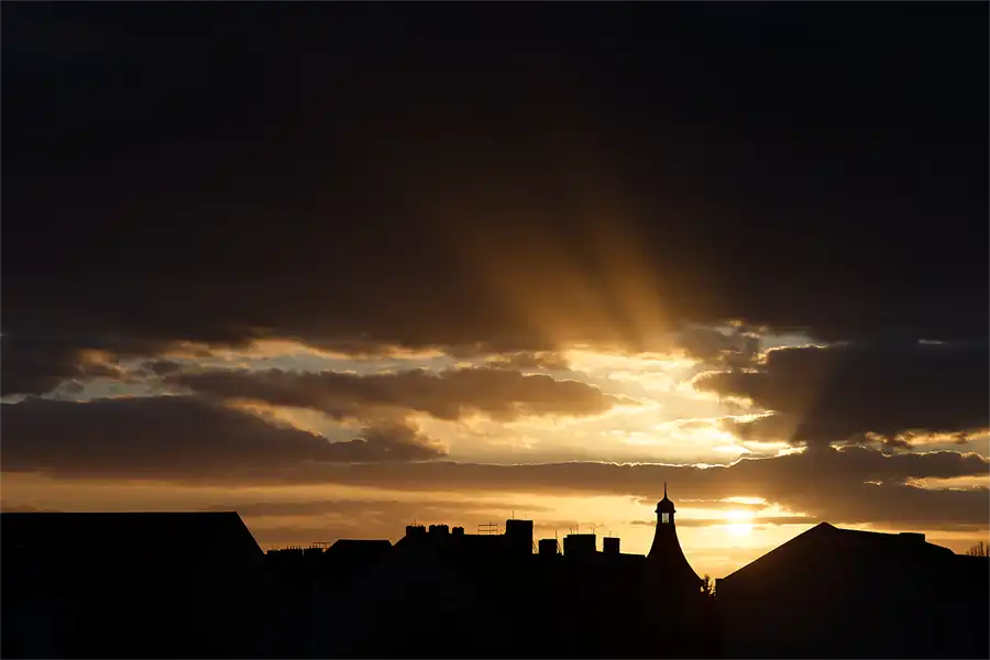 314 | 1900 | 2026-03-27 – 18:15 | © carsten riede fotografie