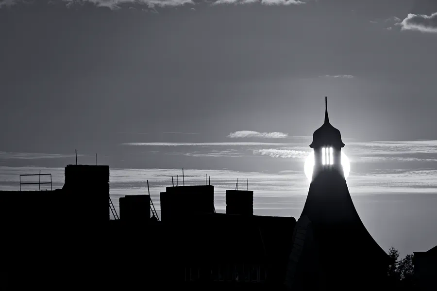 305 | 1900 | 2025-09-17 – 18:59 | © carsten riede fotografie