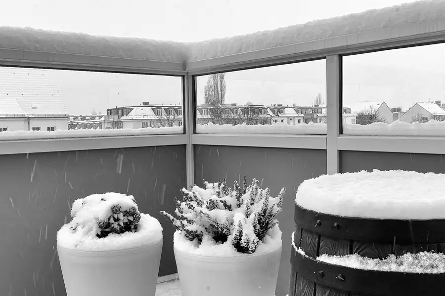 118 | 1900 | 2010-12-03 | © carsten riede fotografie