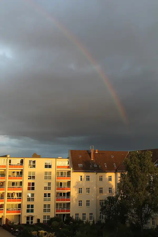 146 | 1900 | 2015-07-30 | © carsten riede fotografie