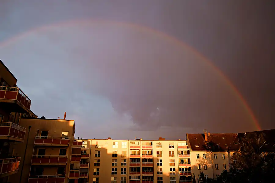 203 | 1900 | 2024-05-25 | © carsten riede fotografie