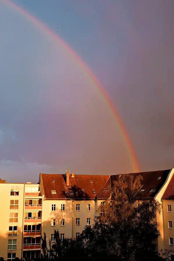 204 | 1900 | 2024-05-25 | © carsten riede fotografie