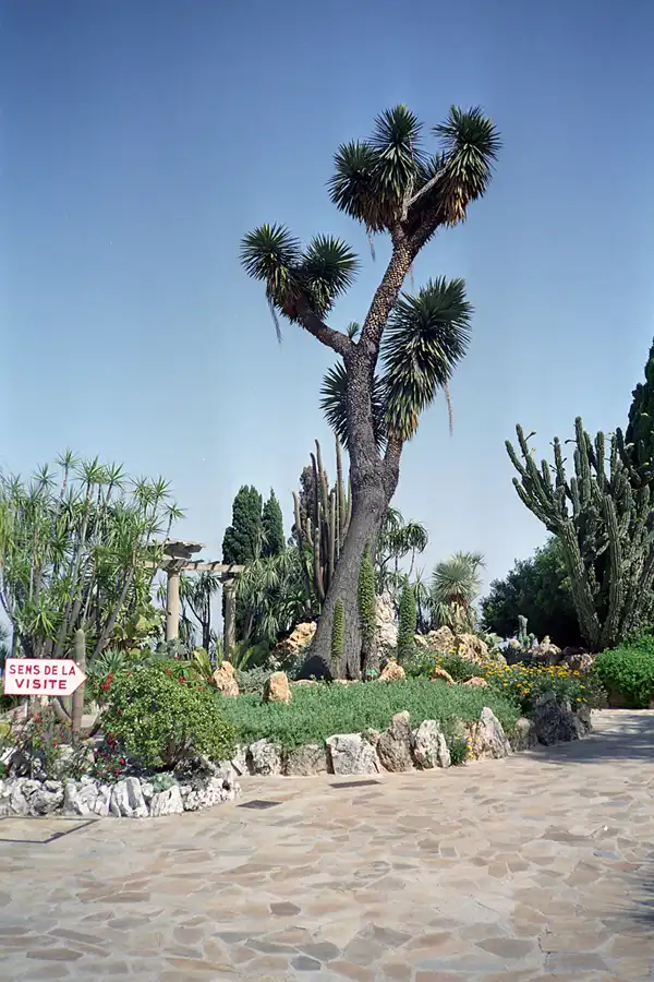 018 | 1995 | Monaco | © carsten riede fotografie