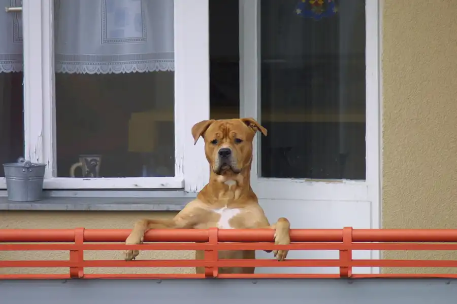 004 | 2002 | Berlin | © carsten riede fotografie