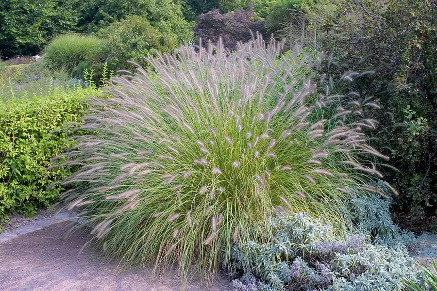 013 | 2002 | Berlin | Britzer Garten | © carsten riede fotografie