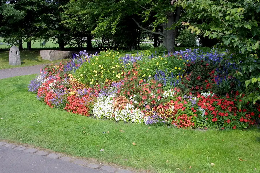 024 | 2002 | Berlin | Britzer Garten | © carsten riede fotografie