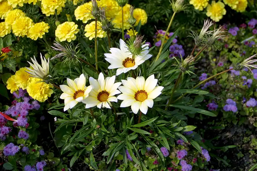 028 | 2002 | Berlin | Britzer Garten | © carsten riede fotografie