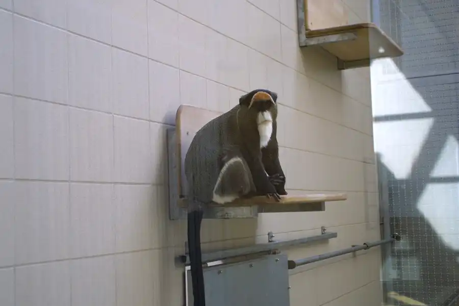 005 | 2002 | Berlin | Tierpark Friedrichsfelde | © carsten riede fotografie