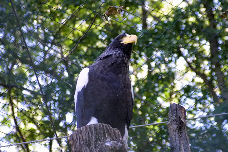 008 | 2002 | Berlin | Tierpark Friedrichsfelde | © carsten riede fotografie