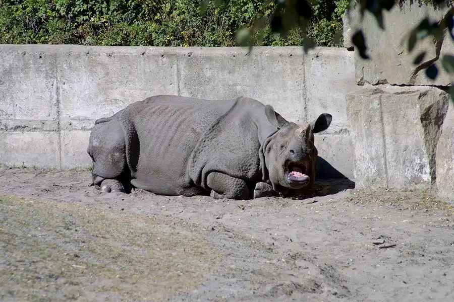 014 | 2002 | Berlin | Tierpark Friedrichsfelde | © carsten riede fotografie