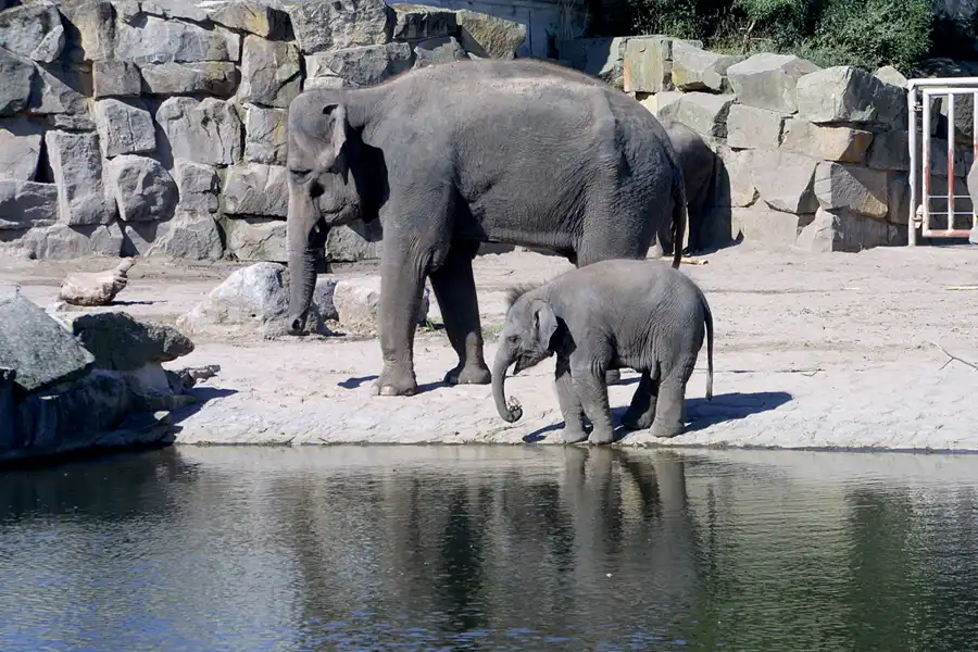 016 | 2002 | Berlin | Tierpark Friedrichsfelde | © carsten riede fotografie