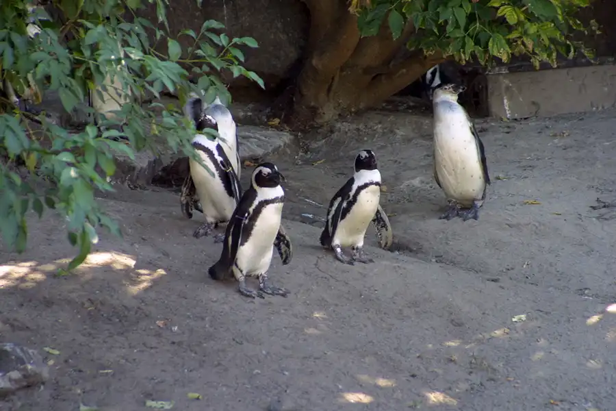 030 | 2002 | Berlin | Tierpark Friedrichsfelde | © carsten riede fotografie