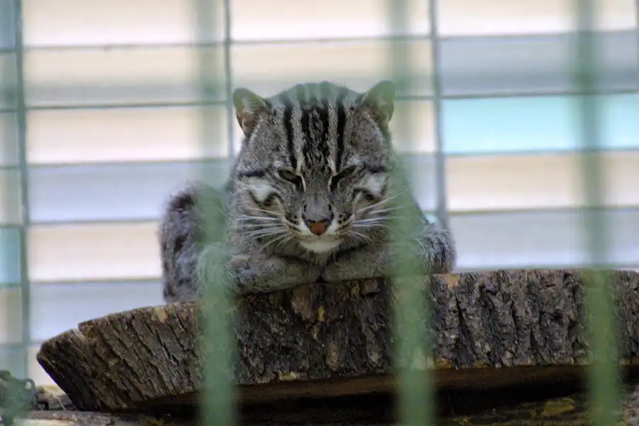 032 | 2002 | Berlin | Tierpark Friedrichsfelde | © carsten riede fotografie