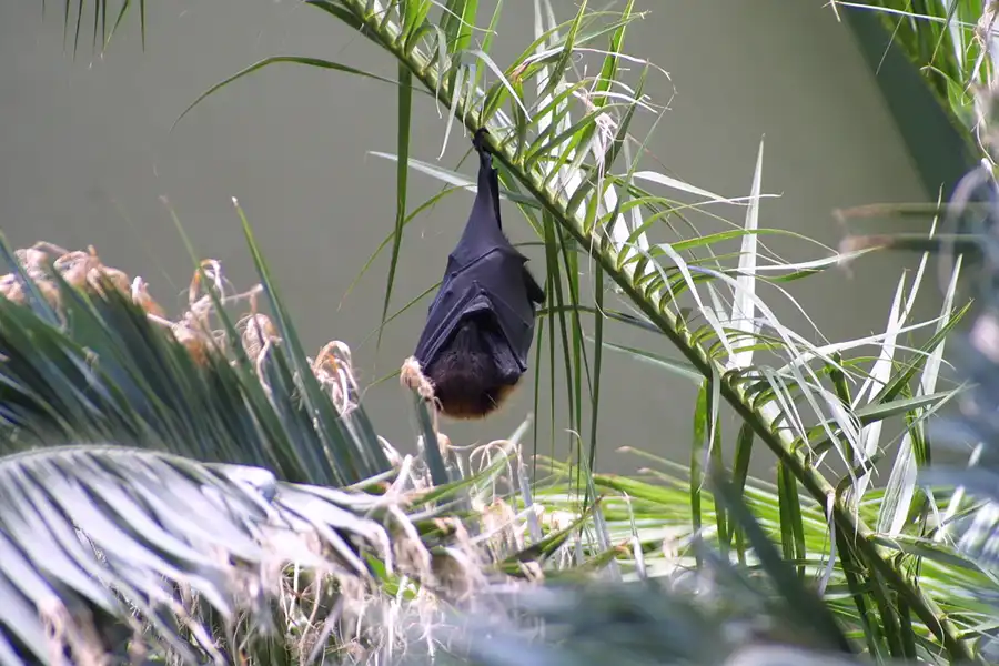 036 | 2002 | Berlin | Tierpark Friedrichsfelde | © carsten riede fotografie