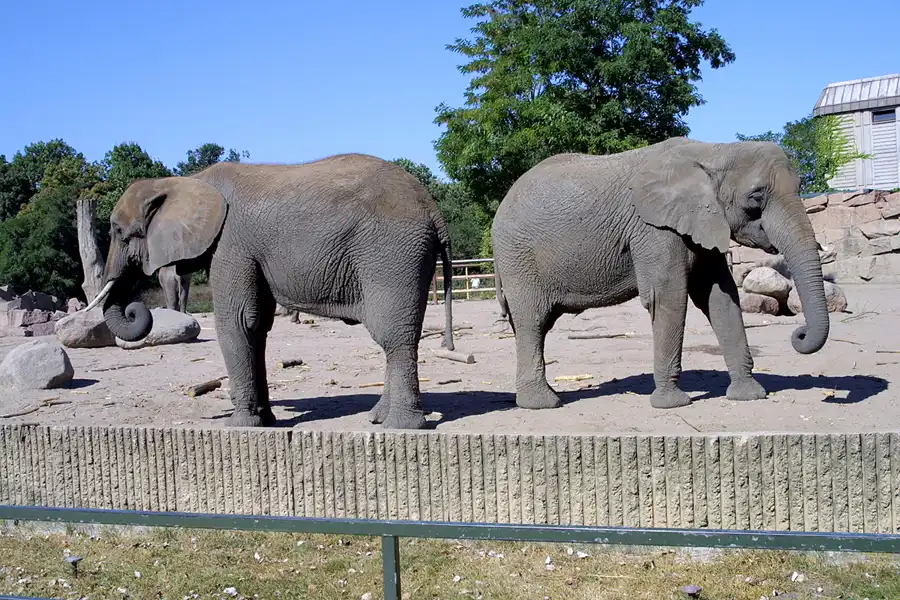 038 | 2002 | Berlin | Tierpark Friedrichsfelde | © carsten riede fotografie