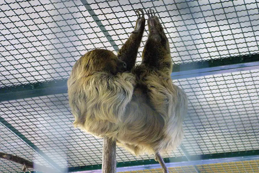 039 | 2002 | Berlin | Tierpark Friedrichsfelde | © carsten riede fotografie