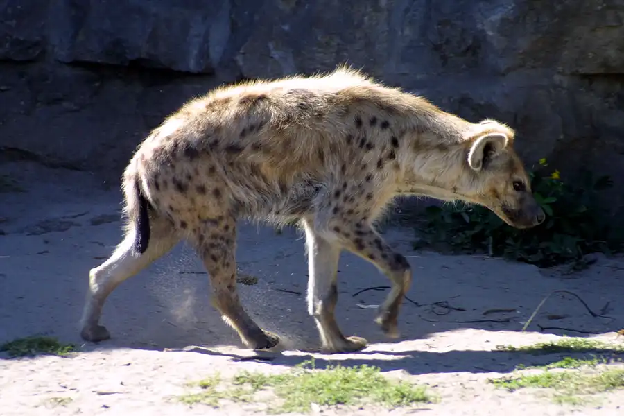 040 | 2002 | Berlin | Tierpark Friedrichsfelde | © carsten riede fotografie