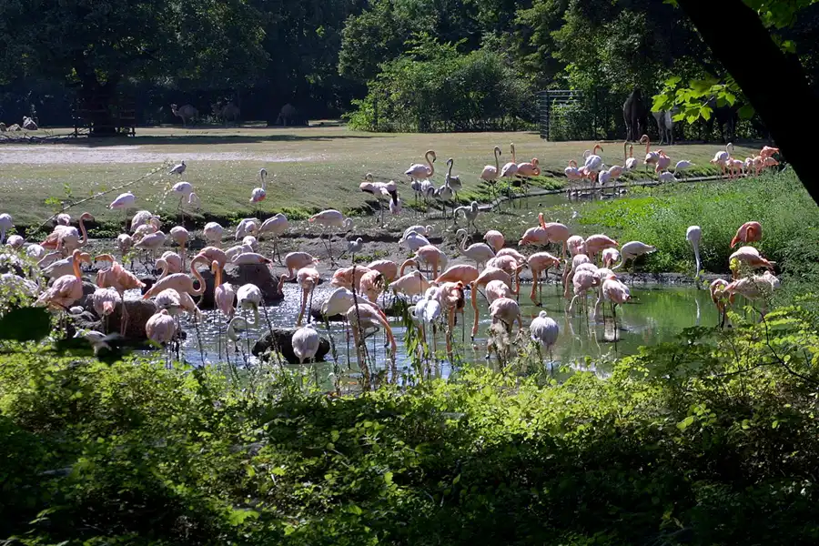 042 | 2002 | Berlin | Tierpark Friedrichsfelde | © carsten riede fotografie
