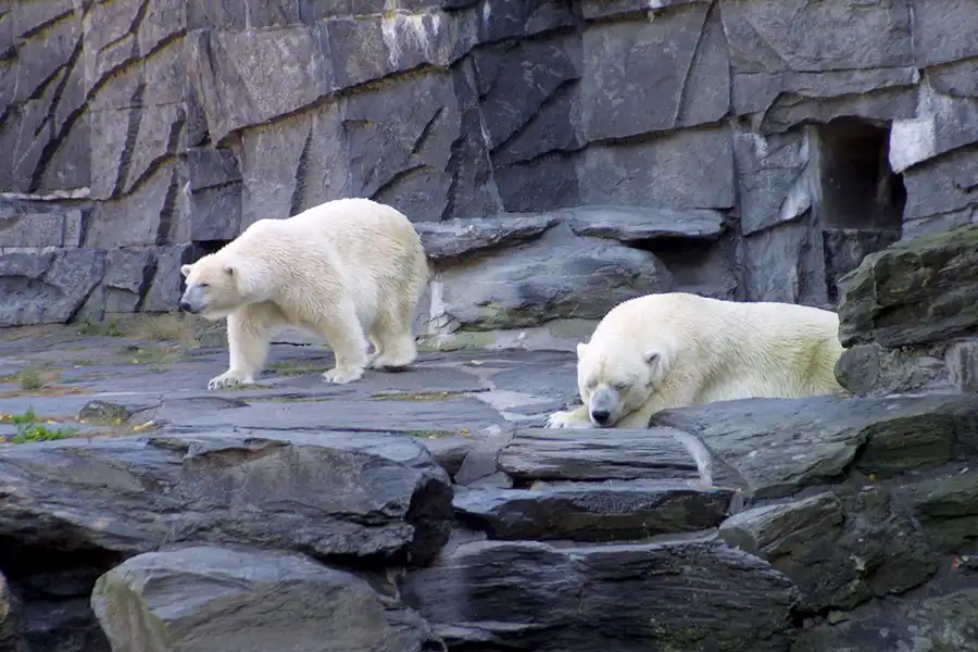 048 | 2002 | Berlin | Tierpark Friedrichsfelde | © carsten riede fotografie