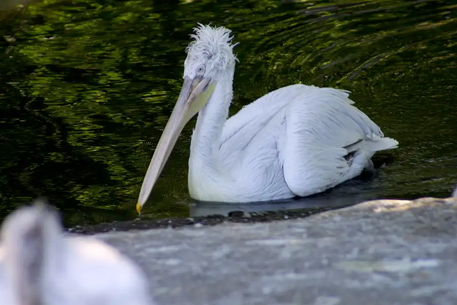 050 | 2002 | Berlin | Tierpark Friedrichsfelde | © carsten riede fotografie