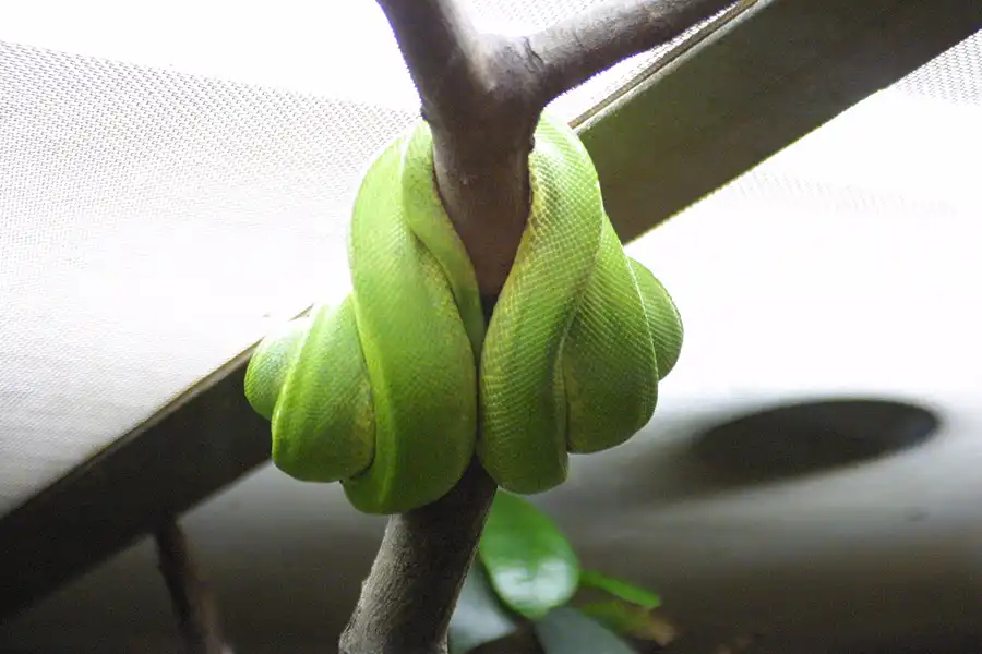 053 | 2002 | Berlin | Tierpark Friedrichsfelde | © carsten riede fotografie