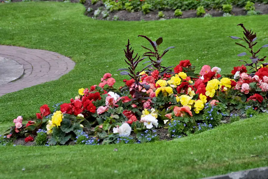 004 | 2003 | Loughborough | Queens Park | © carsten riede fotografie