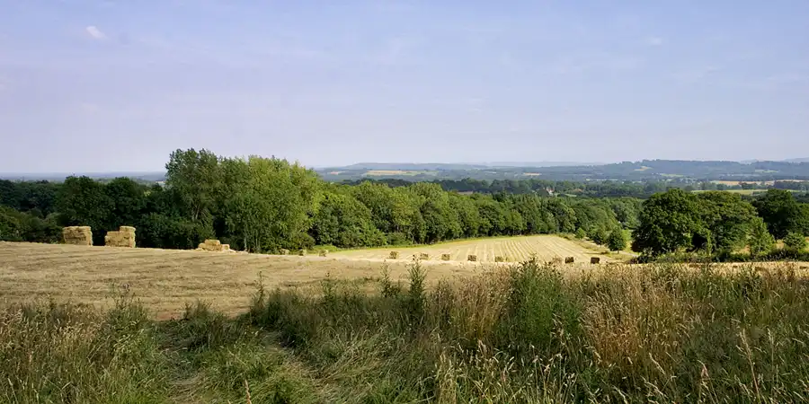 032 | 2003 | Haslemere | Blackdown Park | © carsten riede fotografie