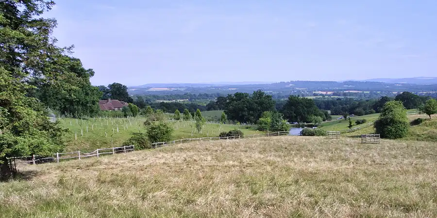 033 | 2003 | Haslemere | Blackdown Park | © carsten riede fotografie