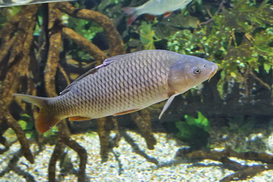 002 | 2004 | Berlin | Sea Life Center + Aqua Dom | © carsten riede fotografie