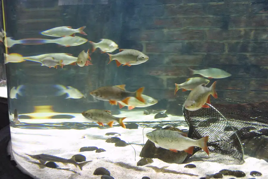 005 | 2004 | Berlin | Sea Life Center + Aqua Dom | © carsten riede fotografie