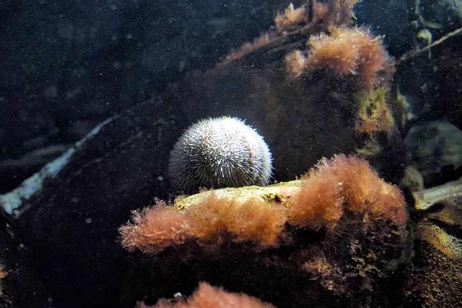 014 | 2004 | Berlin | Sea Life Center + Aqua Dom | © carsten riede fotografie