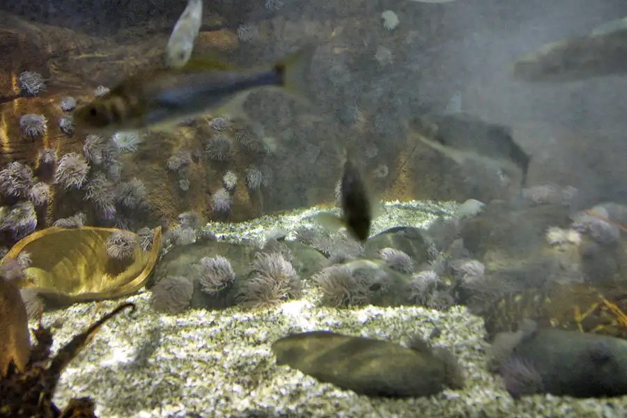 016 | 2004 | Berlin | Sea Life Center + Aqua Dom | © carsten riede fotografie