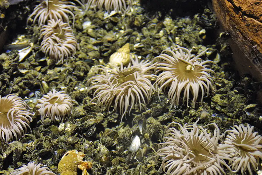 018 | 2004 | Berlin | Sea Life Center + Aqua Dom | © carsten riede fotografie