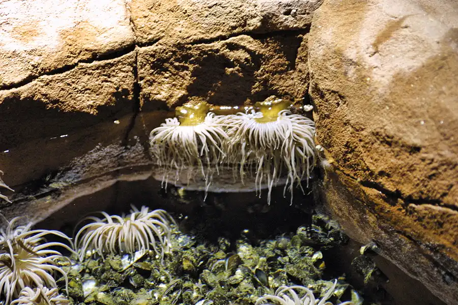 019 | 2004 | Berlin | Sea Life Center + Aqua Dom | © carsten riede fotografie