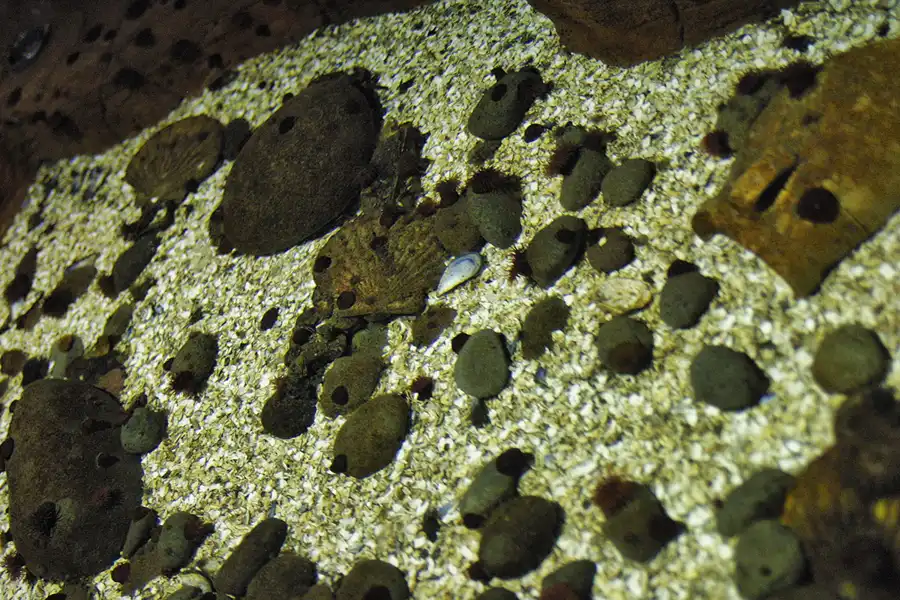 021 | 2004 | Berlin | Sea Life Center + Aqua Dom | © carsten riede fotografie