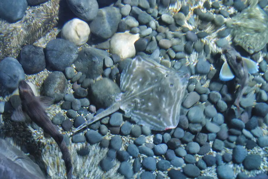 022 | 2004 | Berlin | Sea Life Center + Aqua Dom | © carsten riede fotografie