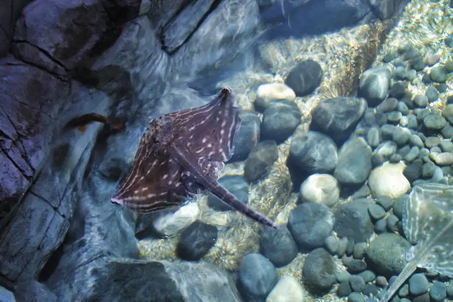 023 | 2004 | Berlin | Sea Life Center + Aqua Dom | © carsten riede fotografie