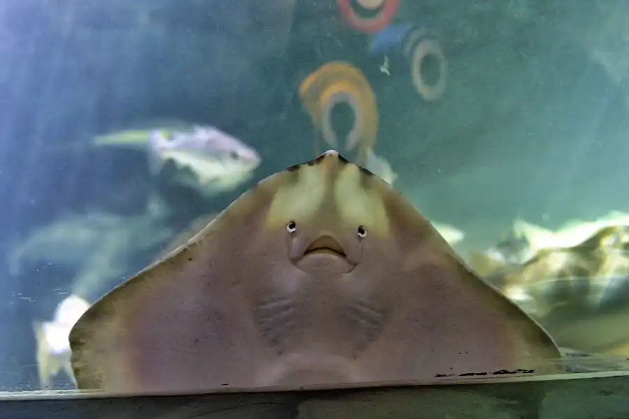 028 | 2004 | Berlin | Sea Life Center + Aqua Dom | © carsten riede fotografie