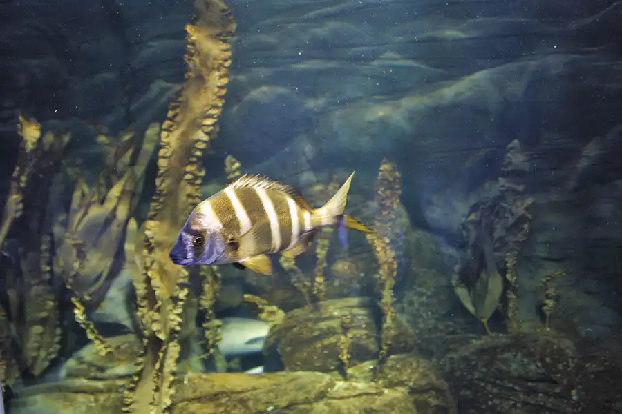 029 | 2004 | Berlin | Sea Life Center + Aqua Dom | © carsten riede fotografie